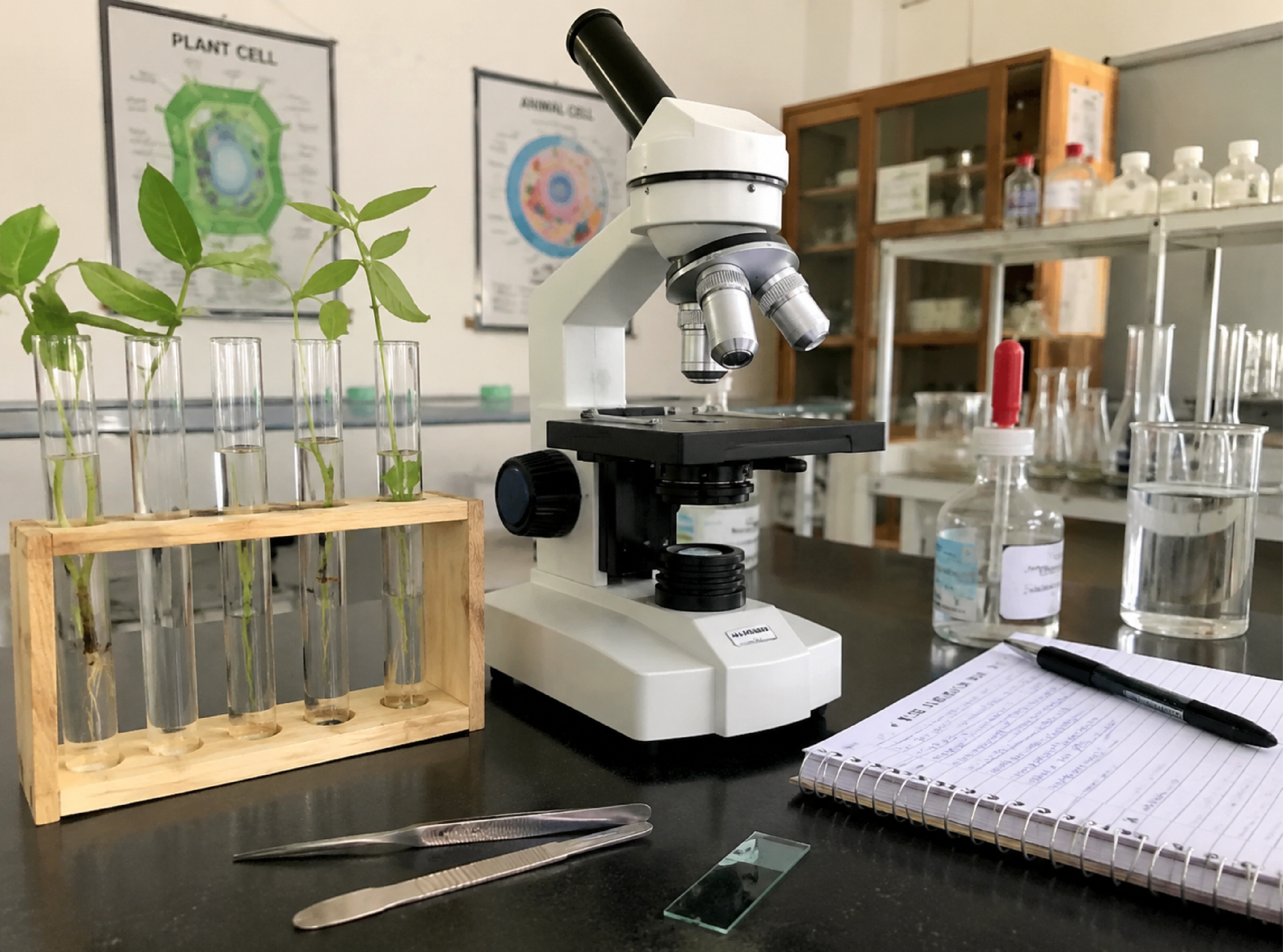 Biology